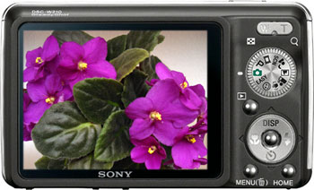 Câmera digital Sony Cyber-shot DSC-W215 - Preta, Costas - Cortesia Sony, editada pelo Câmera versus Câmera